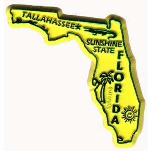 FLORIDA MAGNET 2D 50 STATE YELLOW