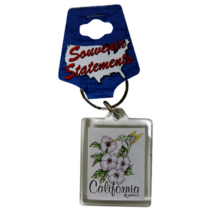 CALIFORNIA KEYCHAIN LUCITE HUMMINGBIRD