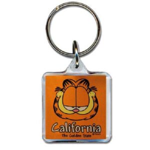 CALIFORNIA KEYCHAIN LUCITE GARFIELD HEAD