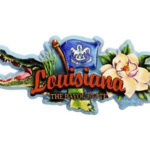 LOUISIANA MAGNET 2D ELEMENTS