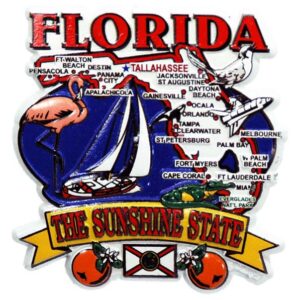 FLORIDA MAGNET 2D STATE MAP