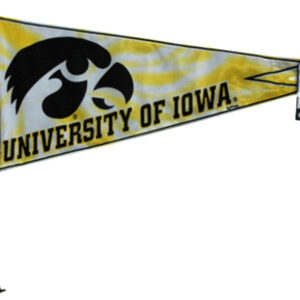 IOWA HAWKEYES CAR FLAG PENNANT