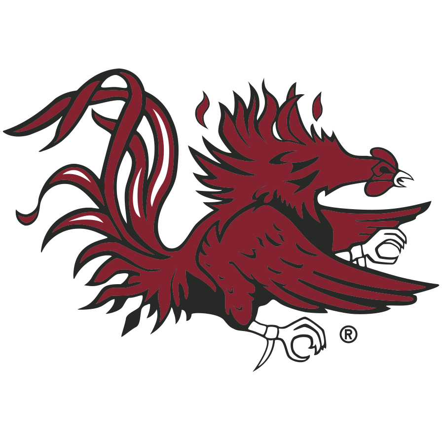 South Carolina Gamecocks