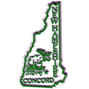 NEW HAMPSHIRE MAGNET 2D 50 STATE KELLY
