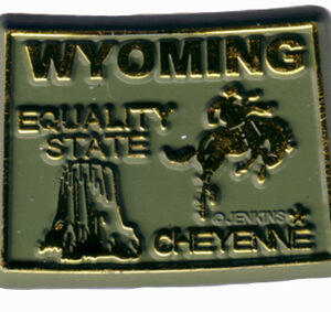 WYOMING MAGNET 2D 50 STATE OLIVE