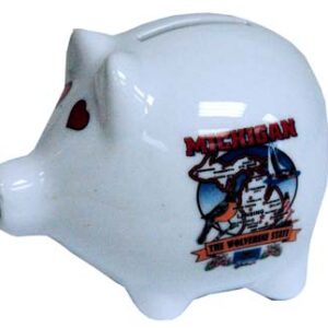 MICHIGAN BANK STATE MAP