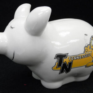 TENNESSEE BANK PIGGY GARFIELD STATE OUTLINE