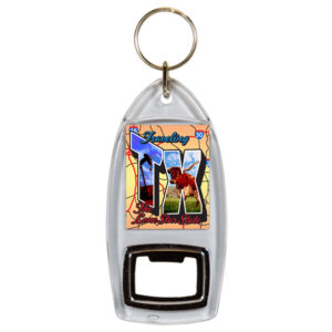 TEXAS KEYCHAIN LUCITE BTL OPENER POSTCARD