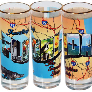 FLORIDA SHOOTER GOLD RIM POSTCARDS