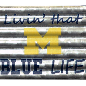 MICHIGAN WOLVERINES MAGNET GALVENIZED CORRUGATED LIVIN LIFE