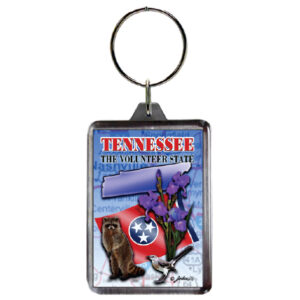 TENNESSEE KEYCHAIN LUCITE FLAG
