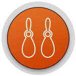 earings