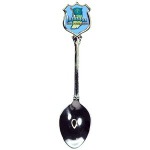 INDIANA SPOON ELEMENTS WITH SHIELD