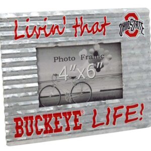 OHIO STATE BUCKEYES FRAME PHOTO GALV CORR LIVIN LIFE