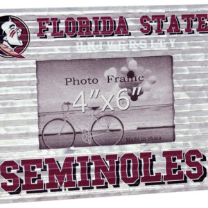 FLORIDA STATE SEMINOLES FRAME PHOTO GALV CARR UNIV