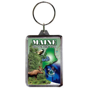 MAINE KEYCHAIN LUCITE MONTAGE
