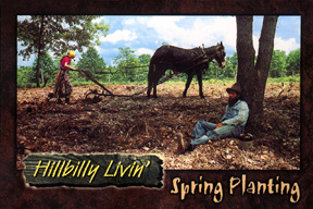 SPRING PLANTING POSTCARD